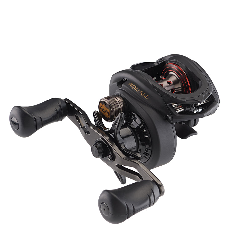 PENN Squall Low Profile Reel – SQL200LPHS [1525502] Online now