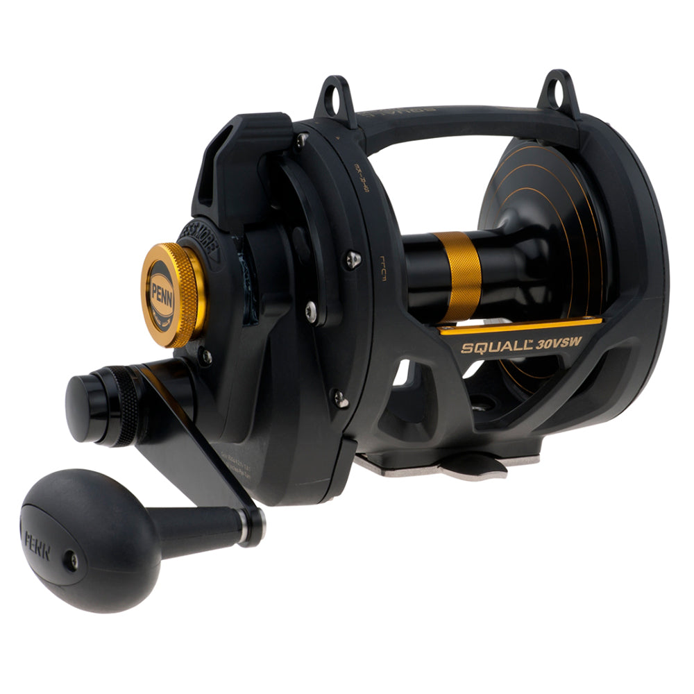 PENN SQL30VSW Squall Lever Drag 2 Speed Conventional Reel [1292937] Discount