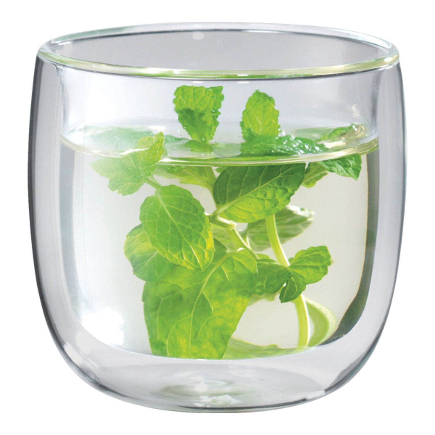Zwilling Sorrento 2-pc Double-Wall Glass Tea Cup Set Hot on Sale