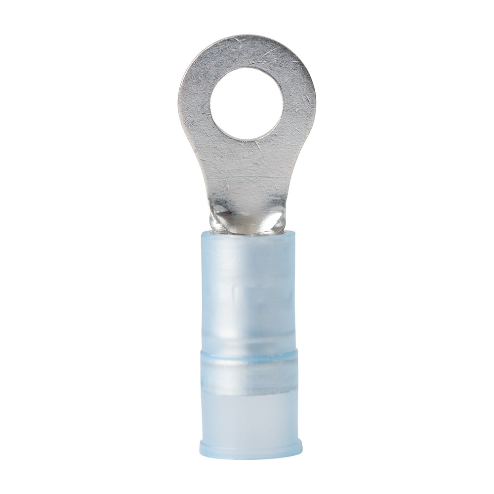 Ancor 16-14 AWG – #8 Nylon Ring Terminal – 100-Pack [220212] Online