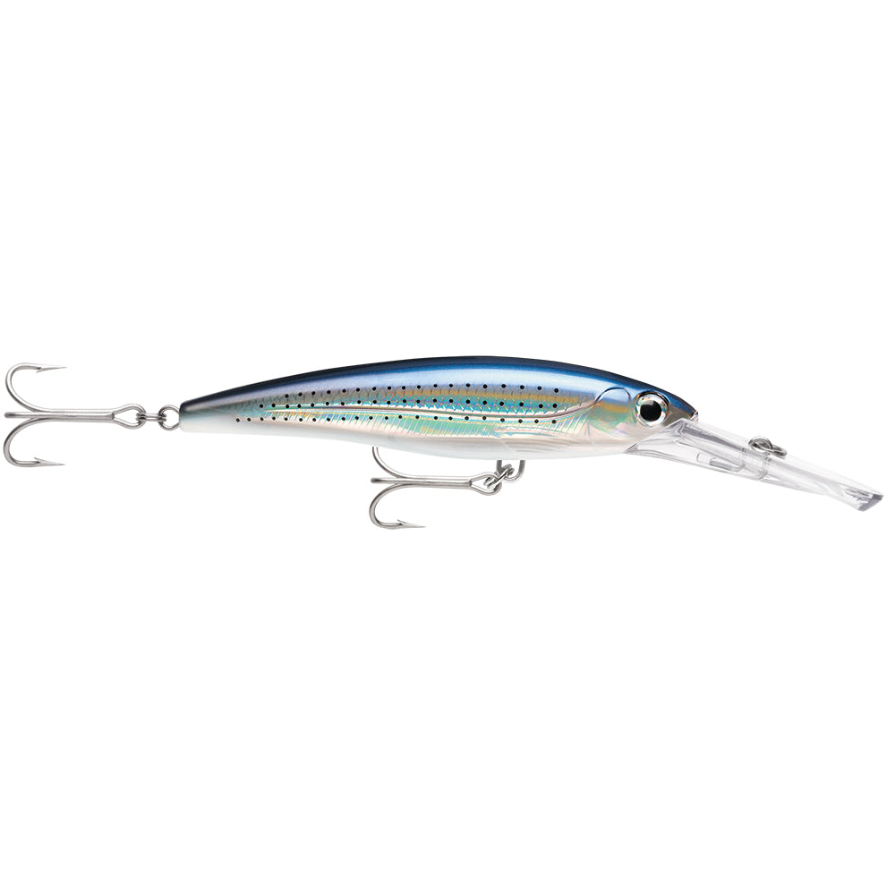 Rapala X-Rap Magnum 15 Spotted Minnow [XRMAG15SPM] Online Sale