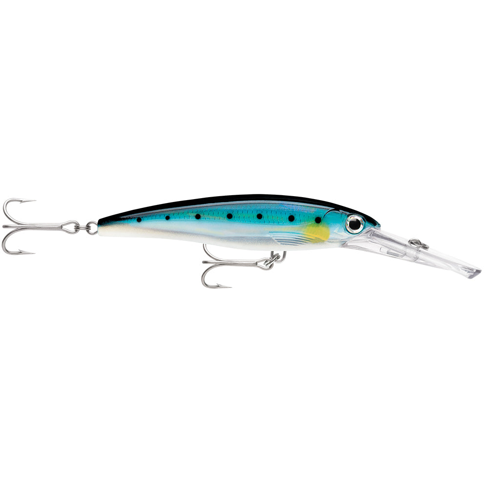 Rapala X-Rap Magnum 15 Blue Sardine [XRMAG15BSRD] Supply