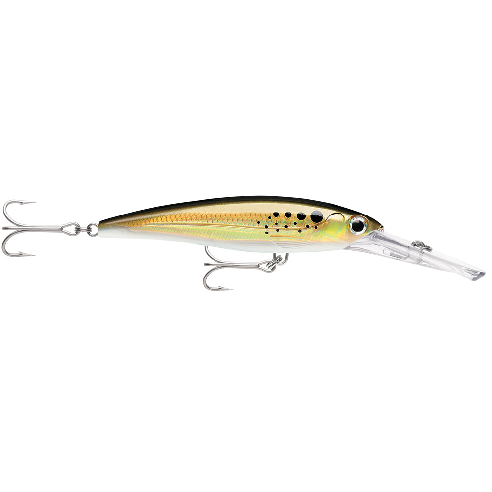 Rapala X-Rap Magnum 20 Bunker [XRMAG20BNK] Online Sale