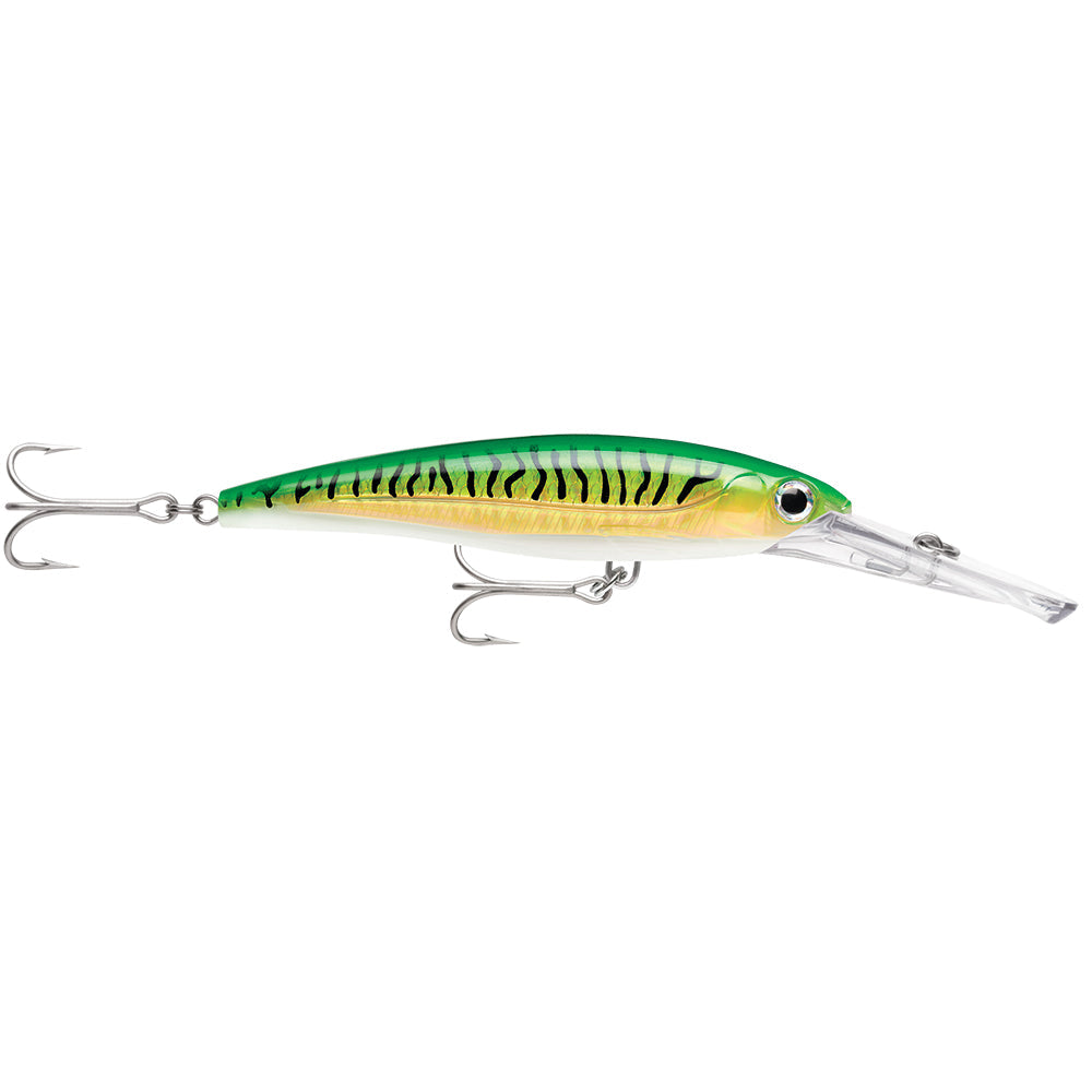 Rapala X-Rap Magnum 15 Gold Green Mackerel [XRMAG15GGM] Online