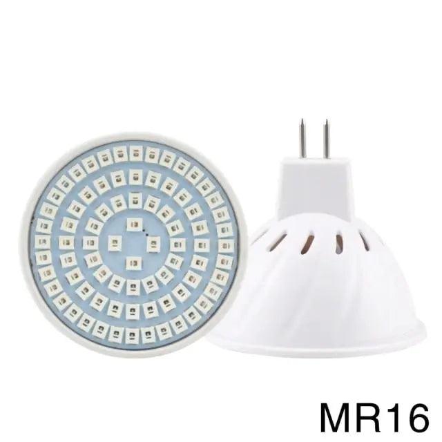 LATTUSO- LED Grow Light Red Blue UV IR/ E14 E27 MR16 GU10 B22 optional on Sale