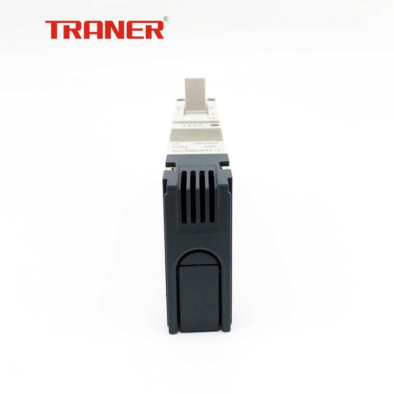 Single Pole MCCB TRMF2-125 230V/25kA 1P 15-125A Mould Case Circuit Breaker Online Hot Sale