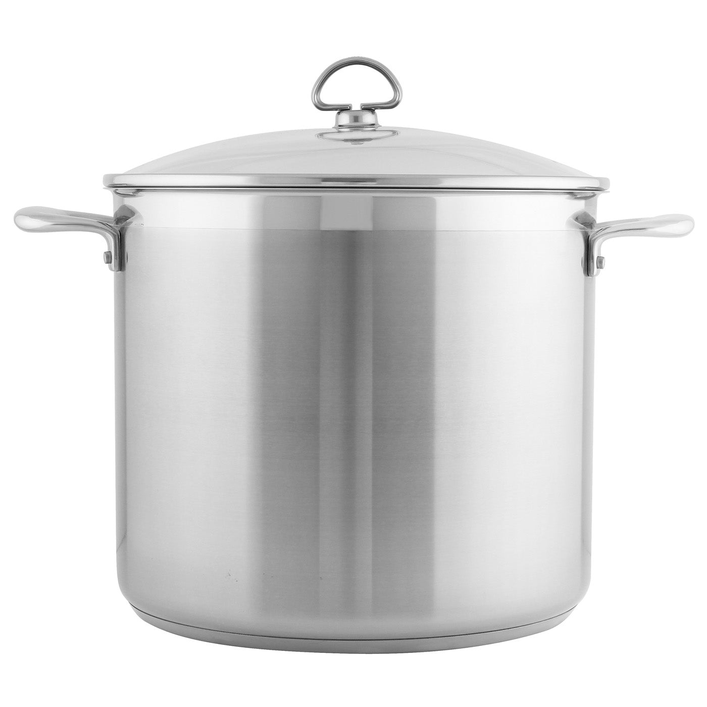 Chantal Induction 21 Steel 12 qt. Stock Pot w/ Glass Lid Sale