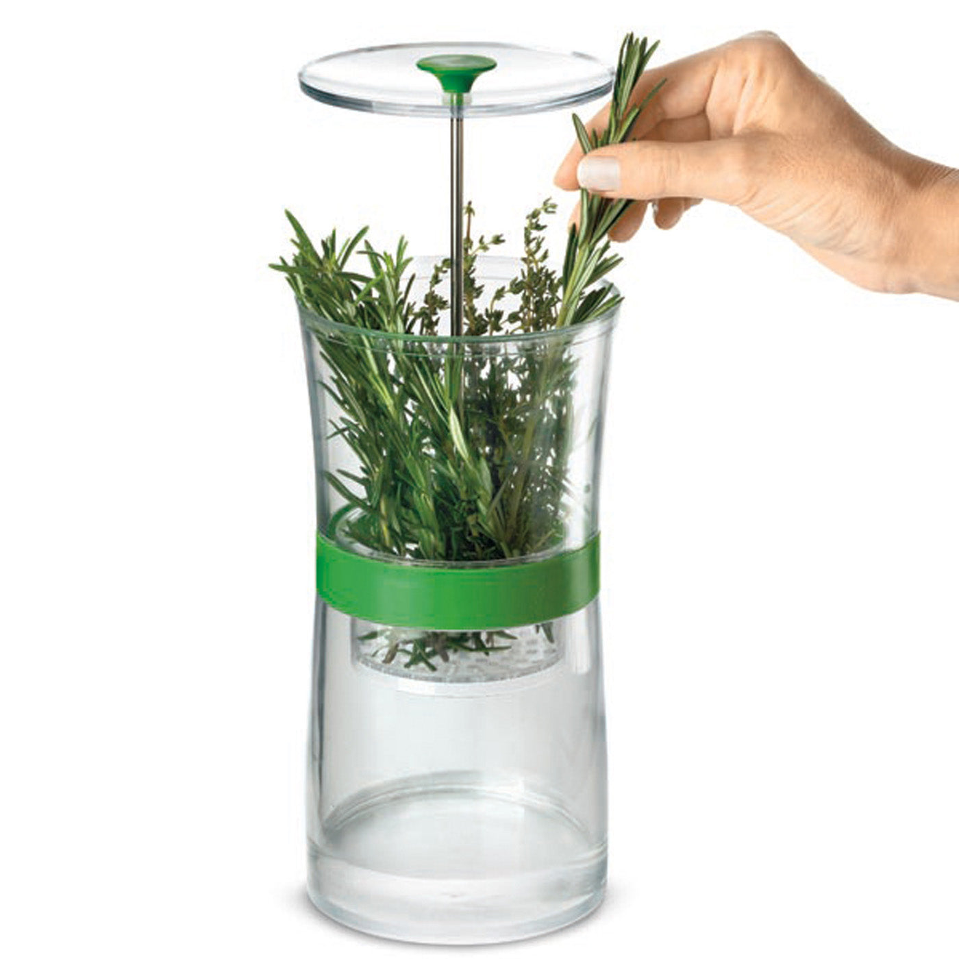 Cuisipro Original Herb Keeper Keeps Herbs Fresh Storage Container Fashion