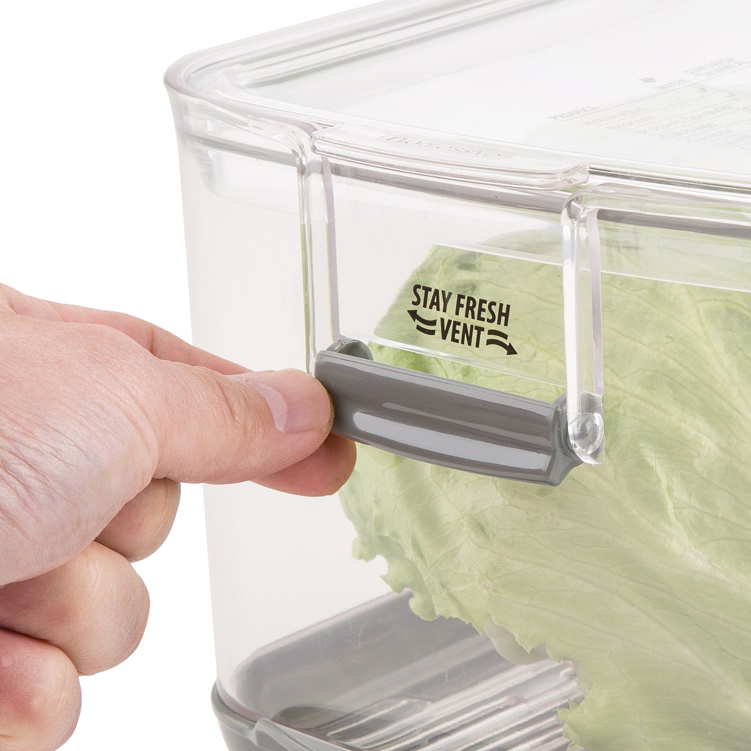 Prepworks by Progressive Large Produce ProKeeper Storage Container with Stay Fresh Vent System Supply