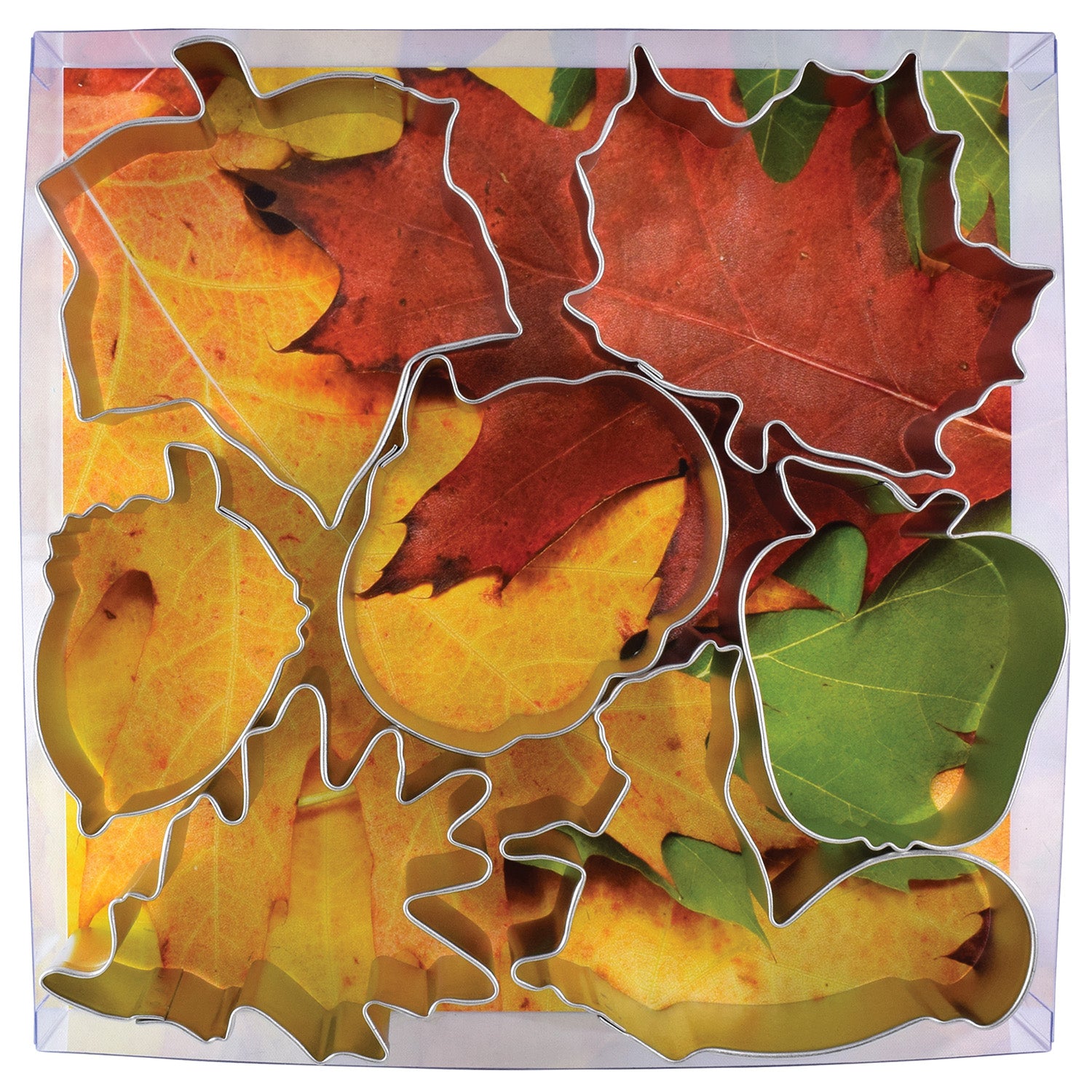 R&M International Autumn Leaf 7 Piece Cookie Cutter Set Fashion