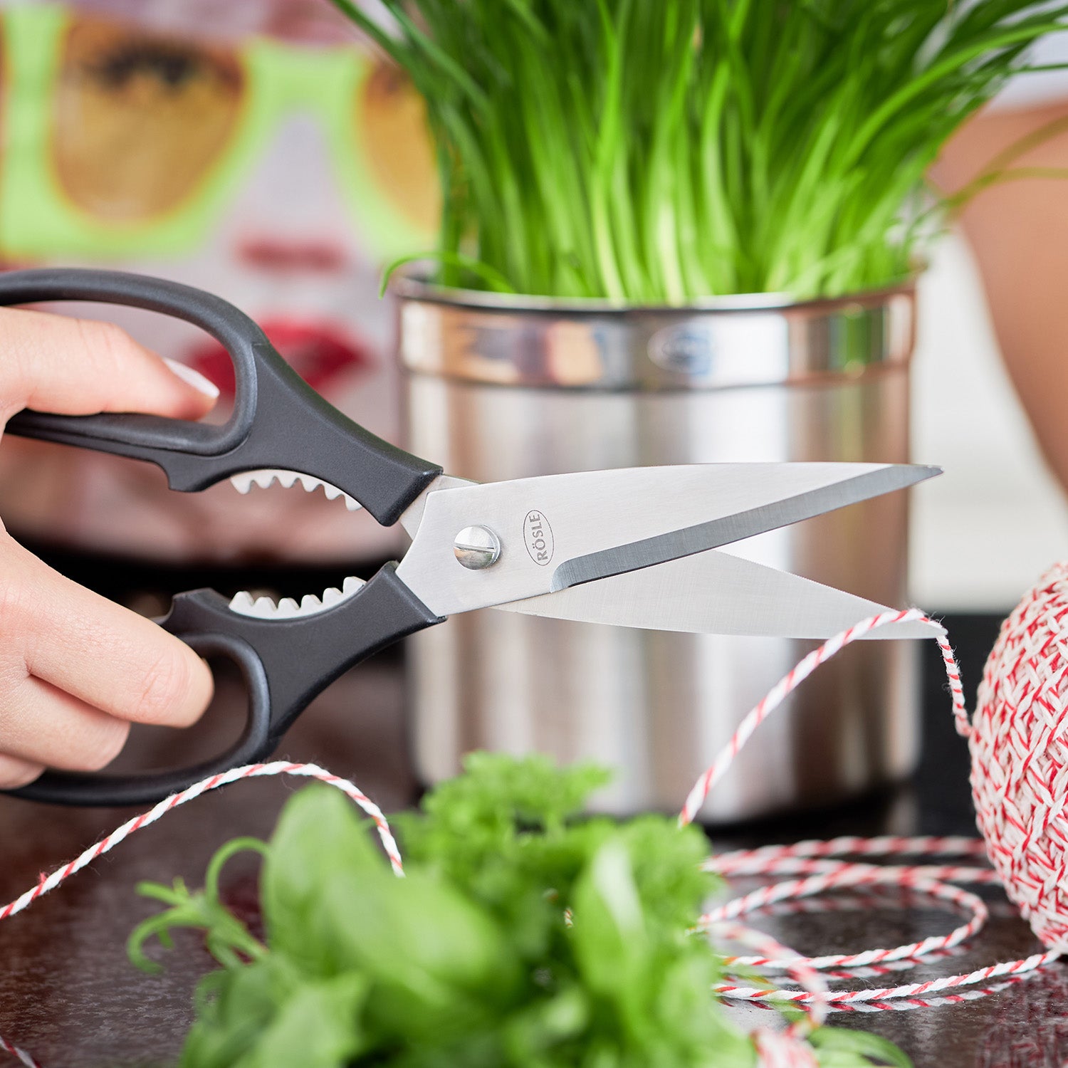 Rosle Stainless Steel Kitchen Scissors Shears, 8.7-Inch Fashion