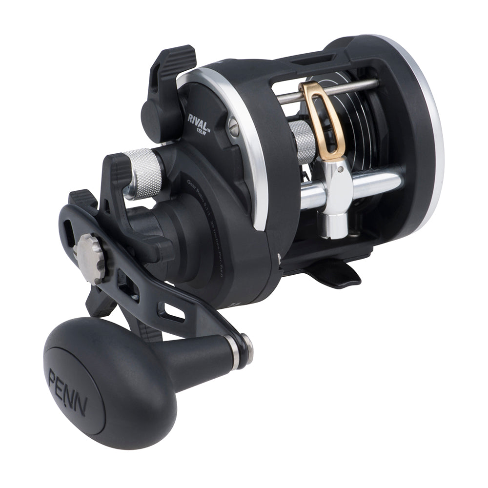 PENN RIV15LW Rival 15 Level Wind Reel [1403990] Sale